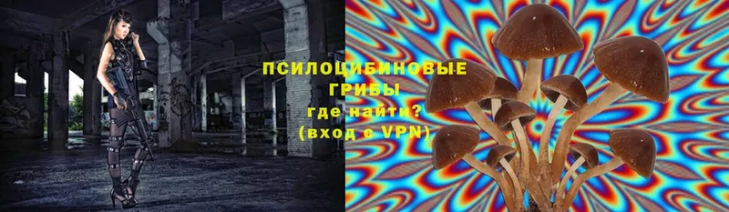 Псилоцибиновые грибы Psilocybe  ссылка на мегу сайт  Лодейное Поле  цена  